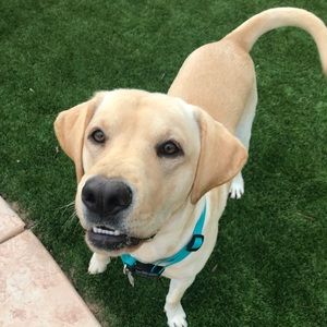 Meet your Posher, Jillian